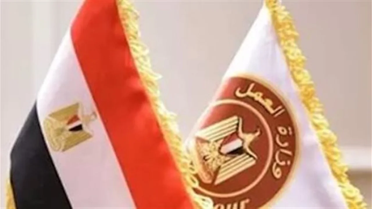 الجميس المقبل.. موعد إجازة عيد الشرطة الموحد لموظفي القطاعين العام والخاص بمصر